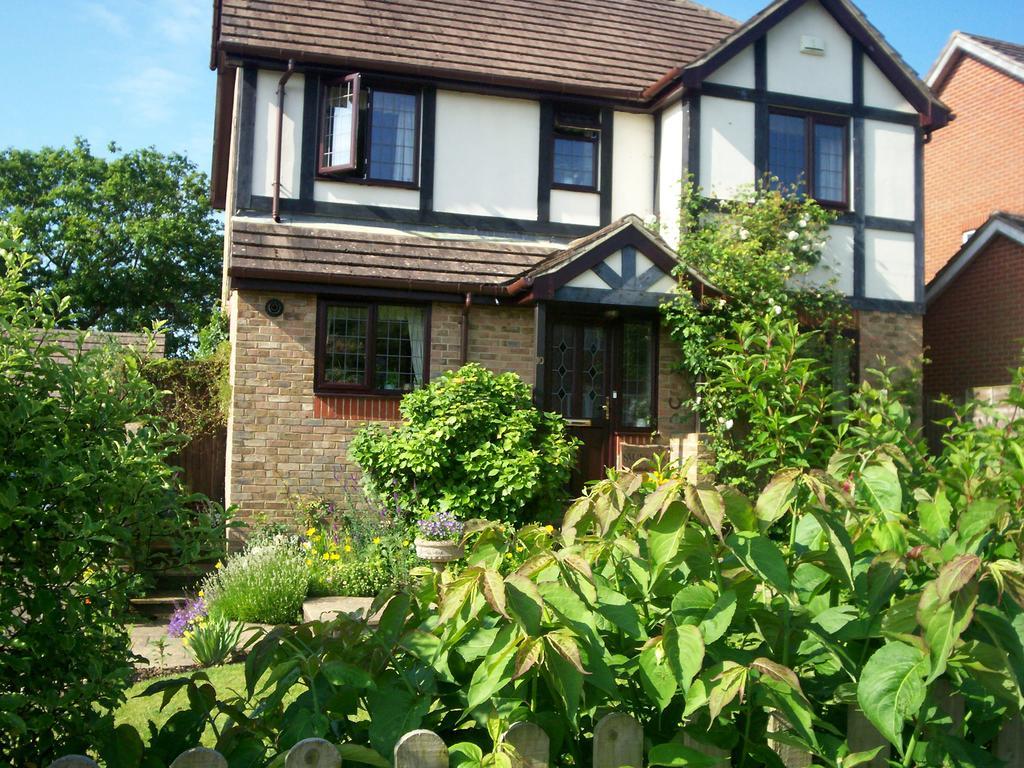 Muffins Bed & Breakfast Hastings Eksteriør bilde