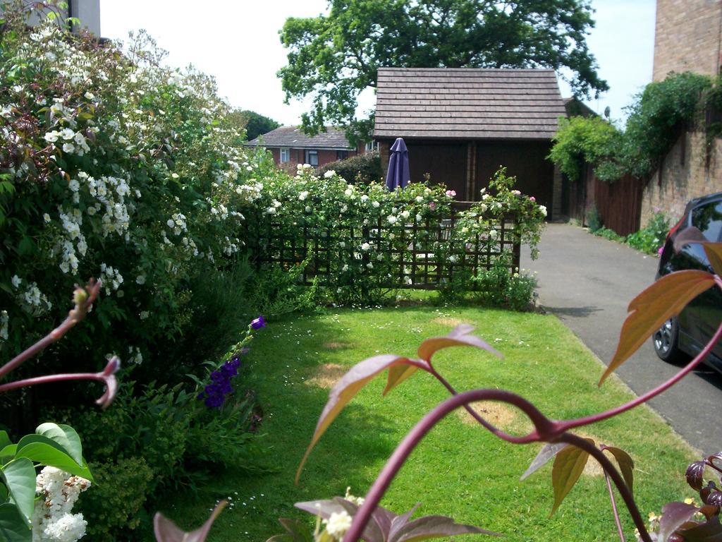 Muffins Bed & Breakfast Hastings Eksteriør bilde
