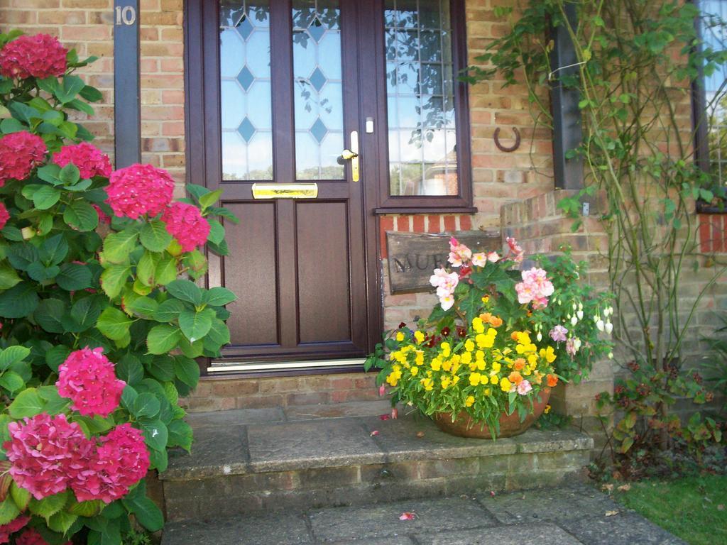 Muffins Bed & Breakfast Hastings Eksteriør bilde